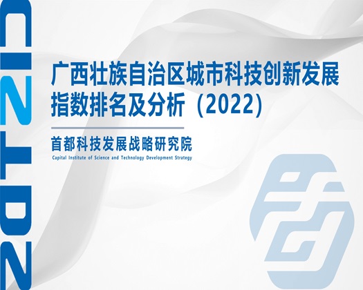 日皮啊啊啊啊大鸡鸡【成果发布】广西壮族自治区城市科技创新发展指数排名及分析（2022）